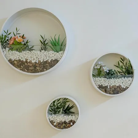 Iloftmalaga Pasaje Chinitas *