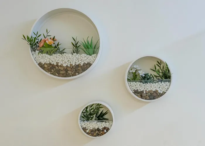 Iloftmalaga Pasaje Chinitas *